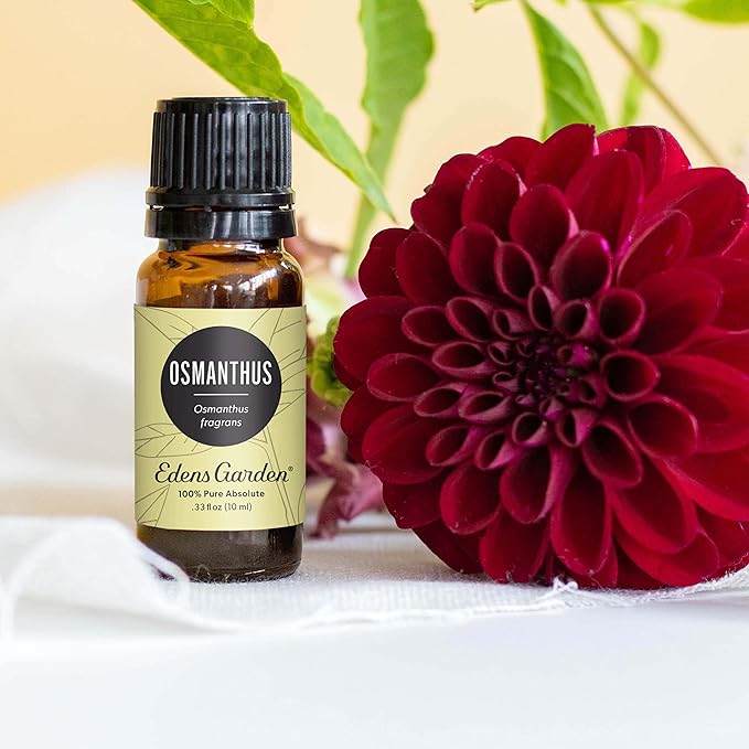 Edens Garden Osmanthus Essential Oil- 100% Pure Premium Grade, Undiluted, Natural, Therapeutic, Aromatherapy, The Best for Diffuser, Skin, Face, Hair 30 ml (1 fl oz)