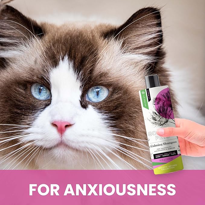 Holistic Natural Derived Calming Pet Shampoo for Anxiety: Veterinarian Recommended: Providing Stress Relief for Dogs, Cats and Horses - Made in USA - 16 oz