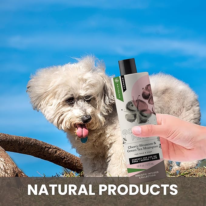 Holistic Natural Derived Cherry Blossom & Green Tea Pet Shampoo: Veterinarian Recommended - Remove Dirt and Condition Your Dog, Cat and Horse Coat - Made in USA - 16 oz