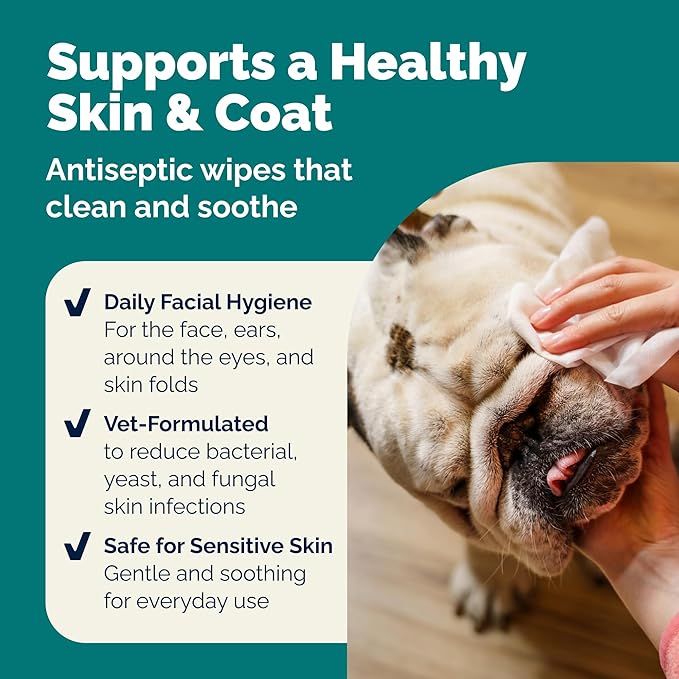 Vetnique Dermabliss Dog Face Wipes - Medicated Chlorhexidine Wipes for Dogs with Wrinkles, French Bulldog, English Bulldog Dog Grooming Wipes Cleaning & Deodorizing Dog Wipes