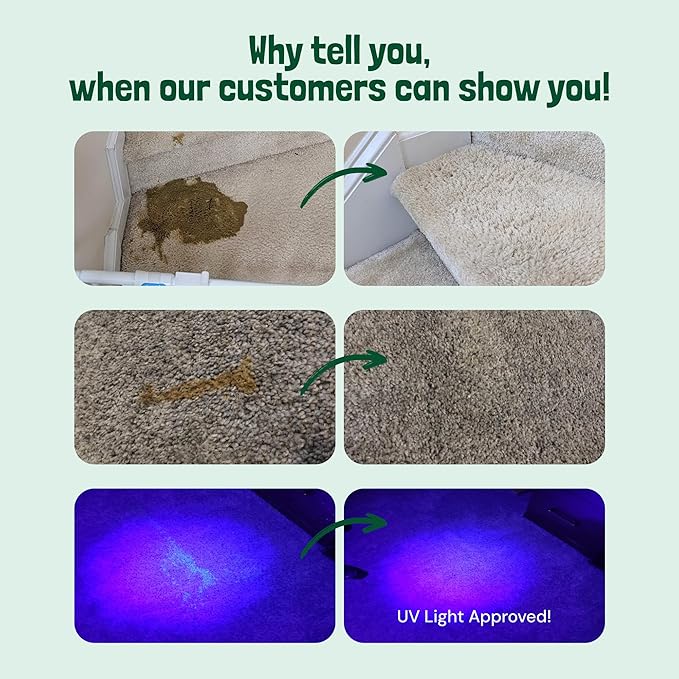 Sunny & Honey Enzyme Cleaner & Stain Remover - 1 gal (128 fl oz), Spring Mint Scent - Pet & Kid Safe Pet Enzyme Cleaner - Heavy Duty Carpet Cleaner Solution