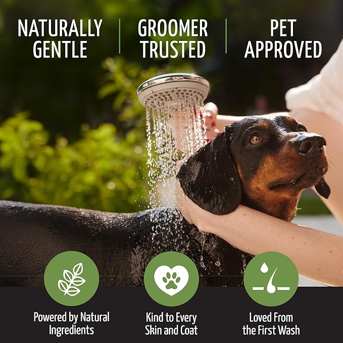 Tauro Pro Line Deep Cleansing Natural Dog Shampoo for Smelly Dogs, Wash for Dandruff and Dry Itchy Sensitive Skin, Cat & Puppy Shampoo (Herbal Detox -13.5 Fl Oz)