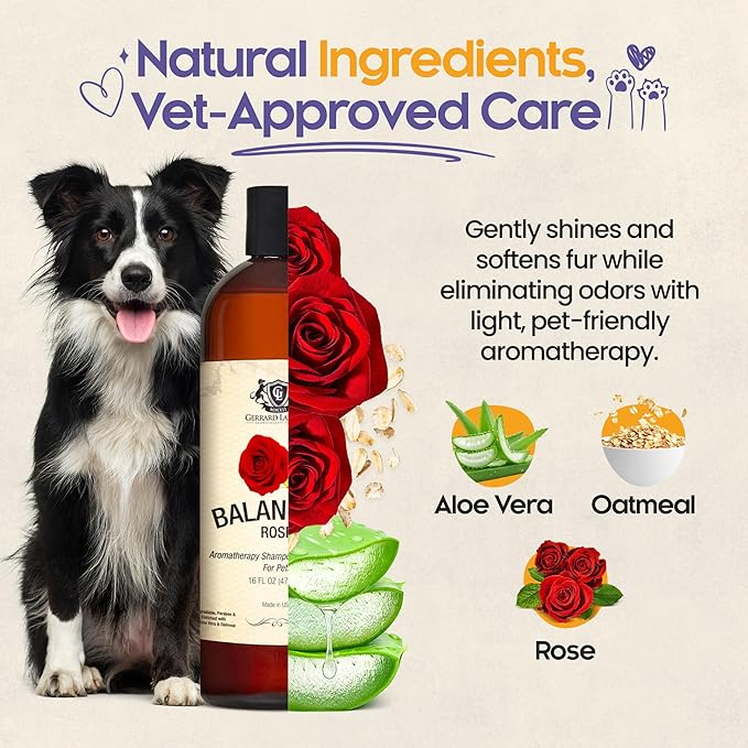 Dog Shampoo and Conditioner Balancing Rose 16 Fl Oz Dog Shampoo Itchy Skin Relief, Aromatherapy Natural Dog Shampoo for Smelly Dogs with Aloe Vera, Rose & Oatmeal Shampoo for Dogs by Gerrard Larriett
