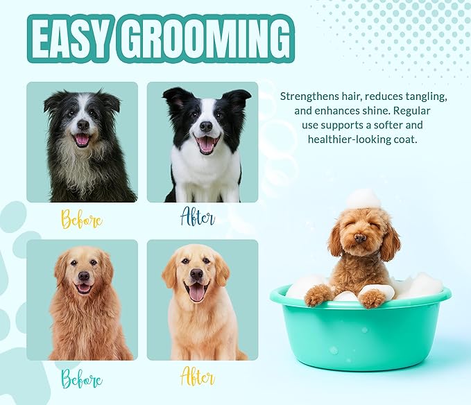 ALFIE'S CHOICE Calm & Comfort Dog Shampoo & Conditioner Set | 16 fl oz Each | with Lavender, Rosemary & Vitamin E | Calming Dog Wash for Itchy Skin, Dry Coat, Odor & All Breeds