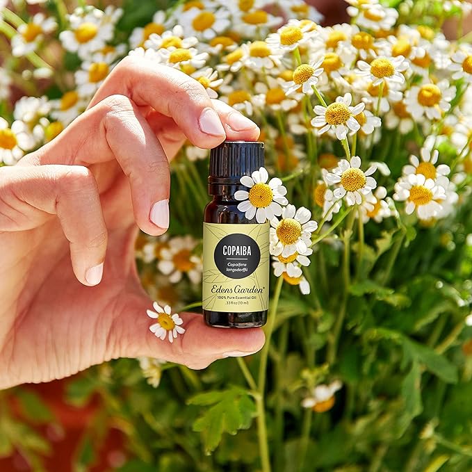 Edens Garden Copaiba Essential Oil- 100% Pure Premium Grade, Undiluted, Natural, Therapeutic, Aromatherapy, The Best for Diffuser, Skin, Face, Hair 10 ml (.33 fl oz)