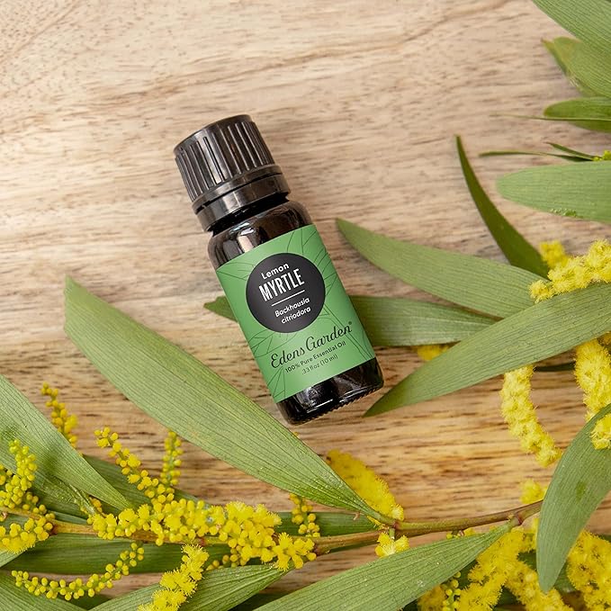 Edens Garden Myrtle- Lemon Essential Oil- 100% Pure Premium Grade, Undiluted, Natural, Therapeutic, Aromatherapy, The Best for Diffuser, Candle, Laundry, Humidifiers 30 ml (1 fl oz)