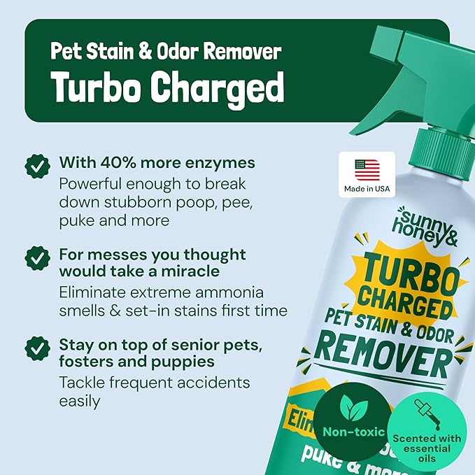 Sunny & Honey Carpet Cleaner Spray - 32 Fl Oz, Spring Mint - 40% More Enzymes & Carpet Stain Remover - Pet Urine Enzyme Cleaner & Floor Deodorizer - Pet & Kid Safe Rug Cleaner