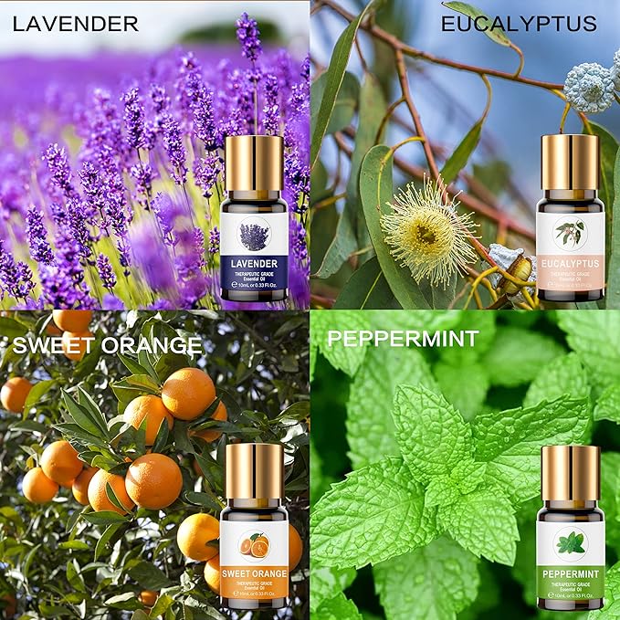 Essential Oils Set, 100% Organic Essential Oil, Lavender, Ylang Ylang, Tea Tree, Eucalyptus Scented Oil, Essential Oils for Diffusers for Home, Candle Making, Humidifiers (8)
