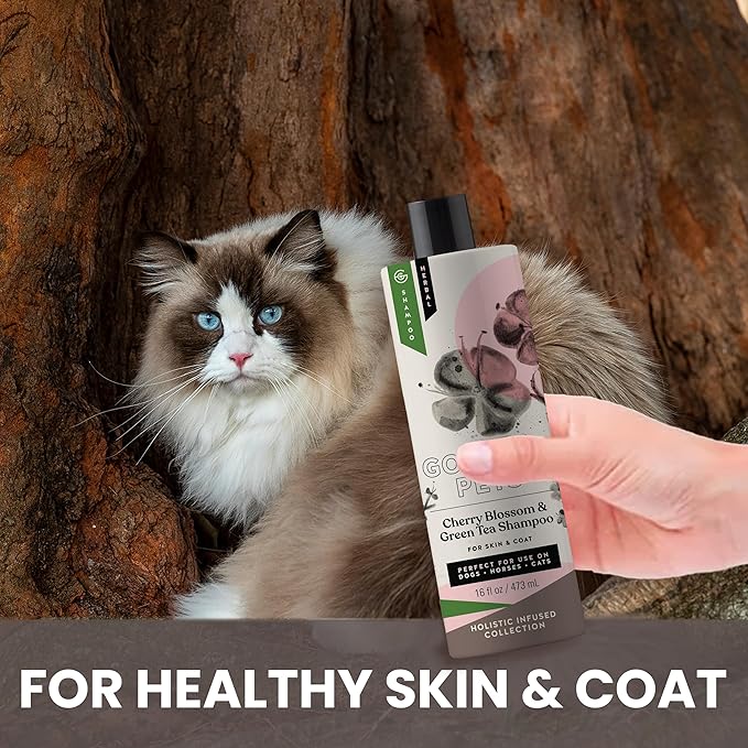 Holistic Natural Derived Cherry Blossom & Green Tea Pet Shampoo: Veterinarian Recommended - Remove Dirt and Condition Your Dog, Cat and Horse Coat - Made in USA - 16 oz