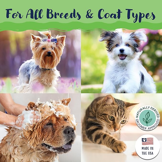 Bobbi Panter Dog Shampoo and Conditioner - Made in USA - All Natural 2-in-1 Formula for Detangles & Reduces Shedding - Concentrated 10:1 for Professional Groomers - Pear Scent, 13 Oz (Case of 12)