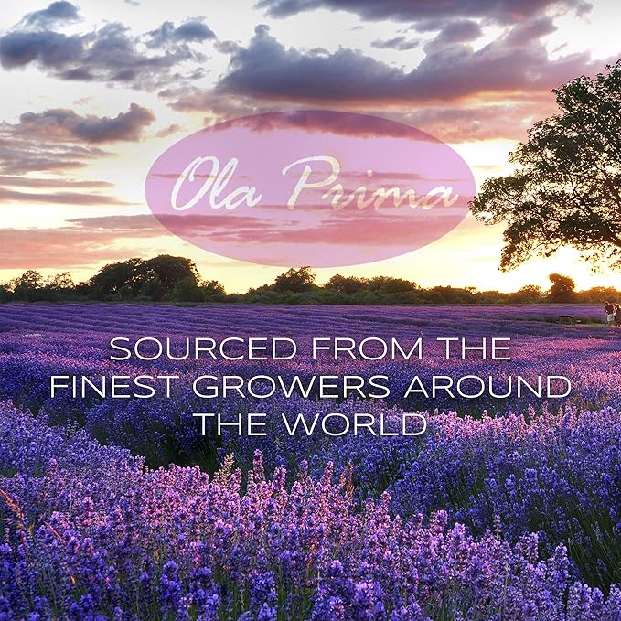Ola Prima Oils 4oz - Orange Essential Oil, Premium Orange Oil with Dropper for Skin Diffuser - 4 Fluid Ounces